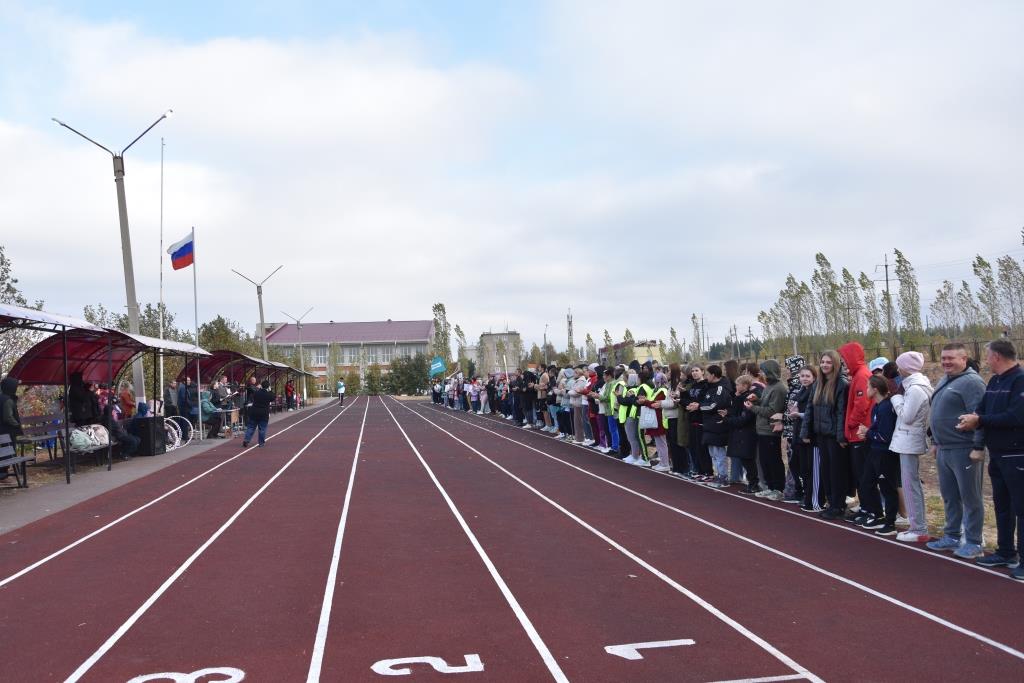 День физкультурника на площадках центра тестирования ВФСК ГТО.