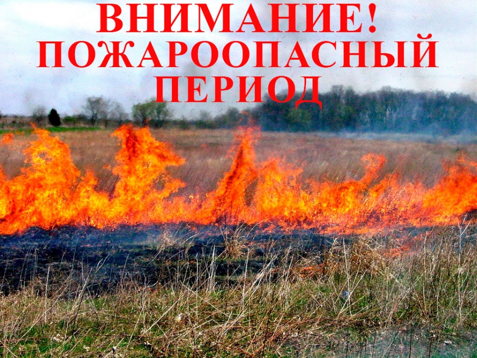 Пожароопасный сезон стартует в Воронежской области с 1 апреля.