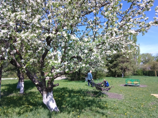 Новости поселения.